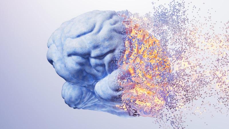 L’alcol non colpisce solo i neuroni: induce le cellule immunitarie a distruggere la matrice strutturale del cervello, secondo uno studio sui topi