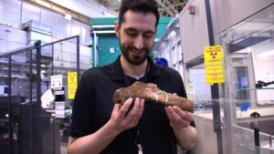 Scienziato che tiene in mano un campione fossilizzato