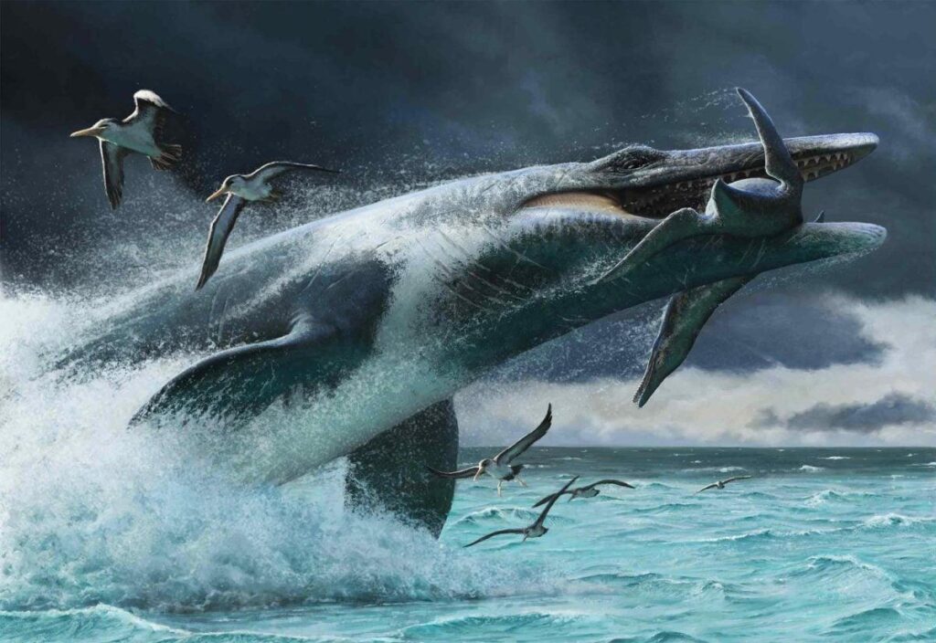 I mosasauri scattavano nell’acqua: il Platecarpus accelerava più degli altri