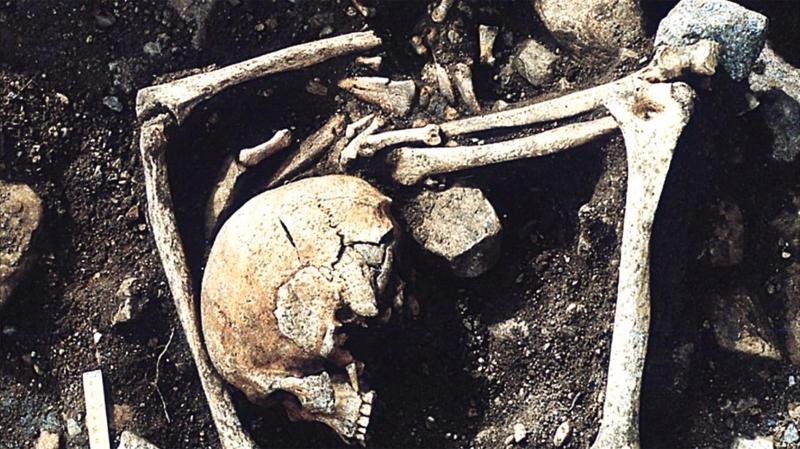 Primo piano di un cranio parzialmente dissotterrato e del relativo scheletro.