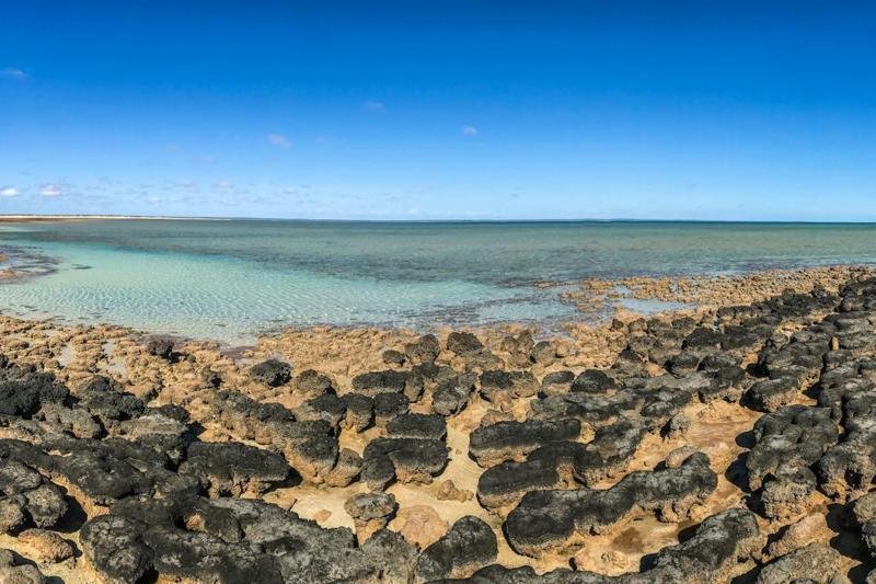 Microbialiti, le tracce di vita antica che possono segnalare crisi ecologiche