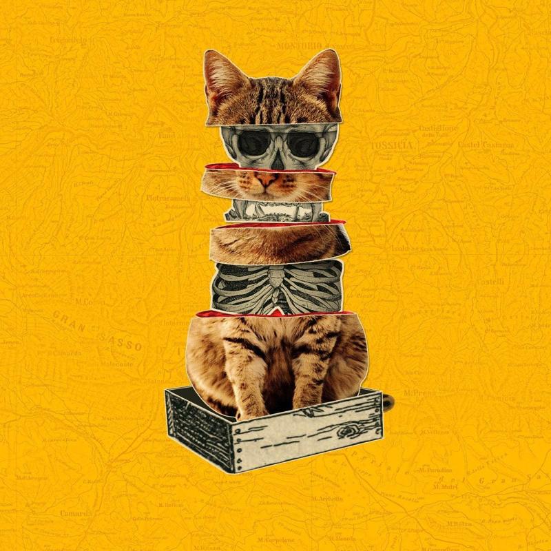 La decoerenza del gatto di Schrödinger