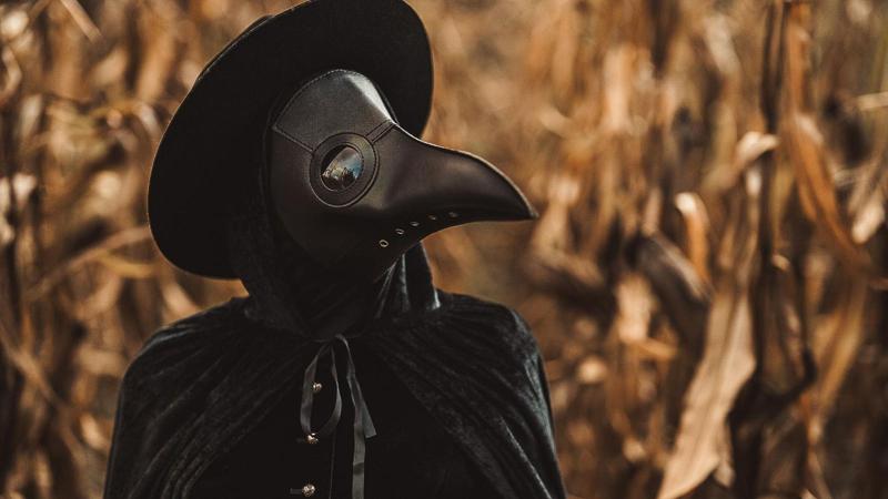 Una persona indossa una maschera, un cappello e un mantello da medico della peste e si trova al centro di un campo di mais.