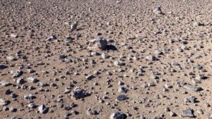 Un nuovo test elettrico può aiutare a individuare segni di vita extraterrestre nello spazio