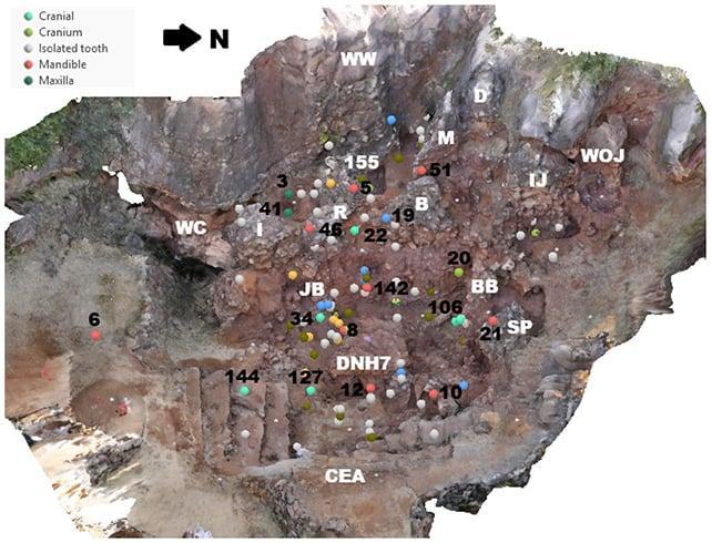 Sito della cava principale di Drimolen
