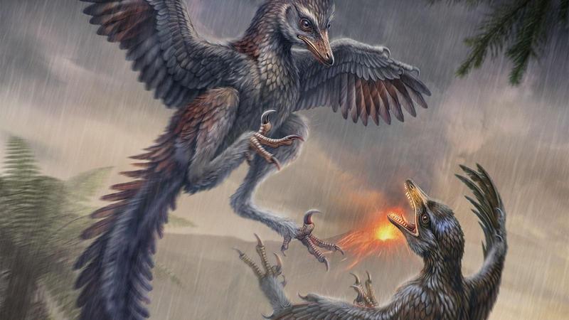Illustrazione di due uccelli piumati che si attaccano a vicenda, con un vulcano in eruzione sullo sfondo.