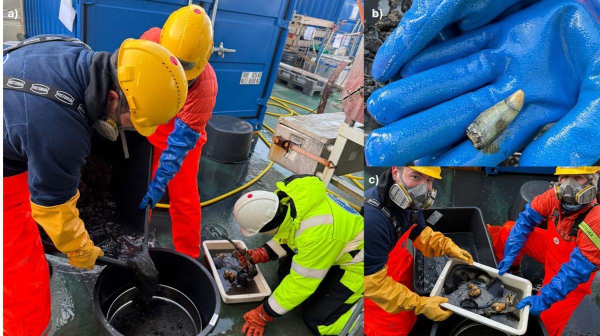 Gli scienziati hanno esaminato una strana zona del fondale marino. Hanno portato alla luce una tomba sommersa