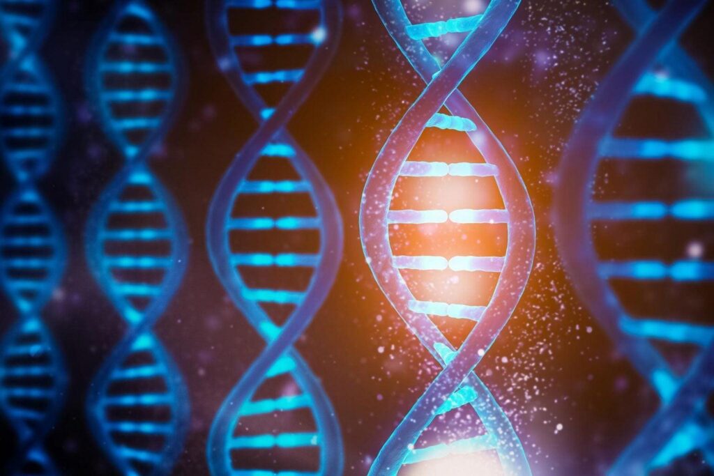 Sulla Terra primordiale la timina avrebbe reso più riparabili i danni dei raggi UV