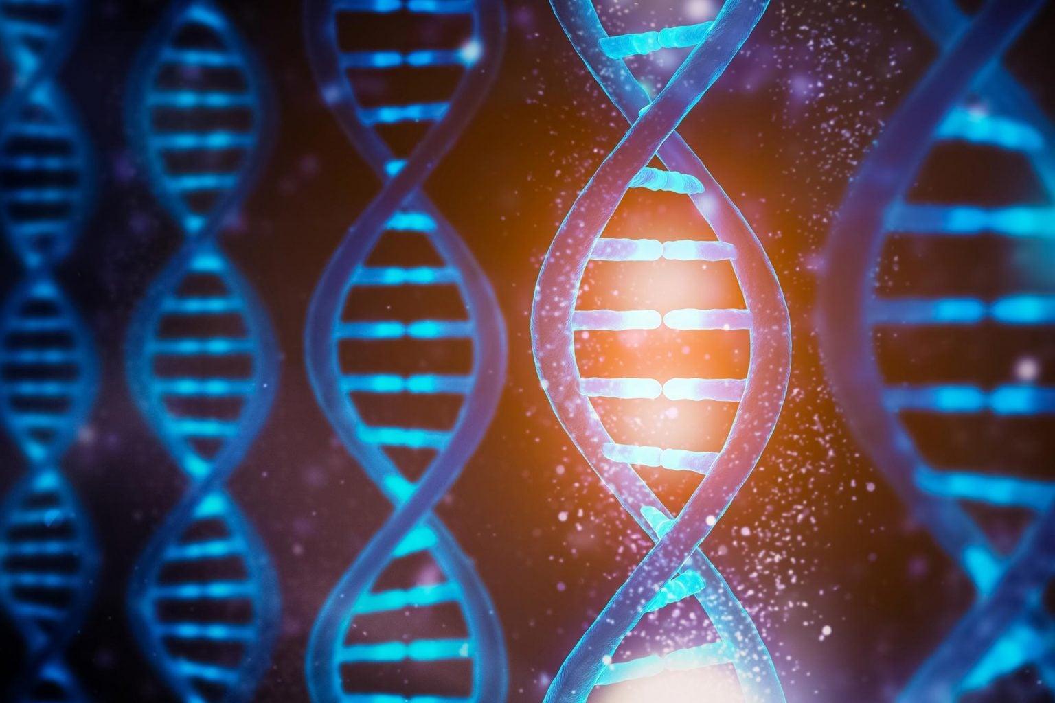 Concetto delle funzioni del DNA