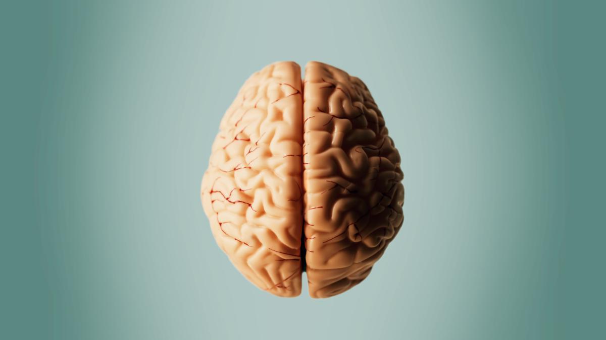 Una combinazione di farmaci a «basso contenuto di ossigeno» inverte i sintomi del Parkinson nei topi