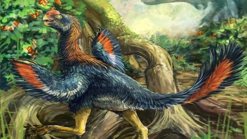 Rinvenuto il fossile del primo dinosauro che si nutriva solo di frutta