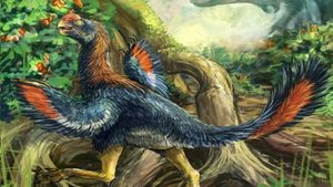 Rinvenuto il fossile del primo dinosauro che si nutriva solo di frutta