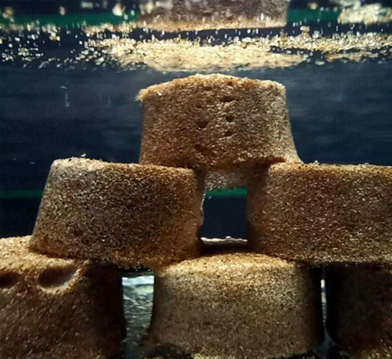 None Campioni cilindrici di sabbia impilati sott’acqua senza disgregarsi.