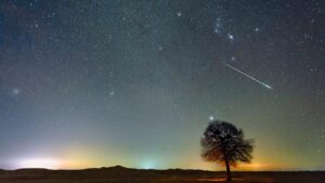 Una scia bianca nel cielo notturno è visibile sopra un albero.