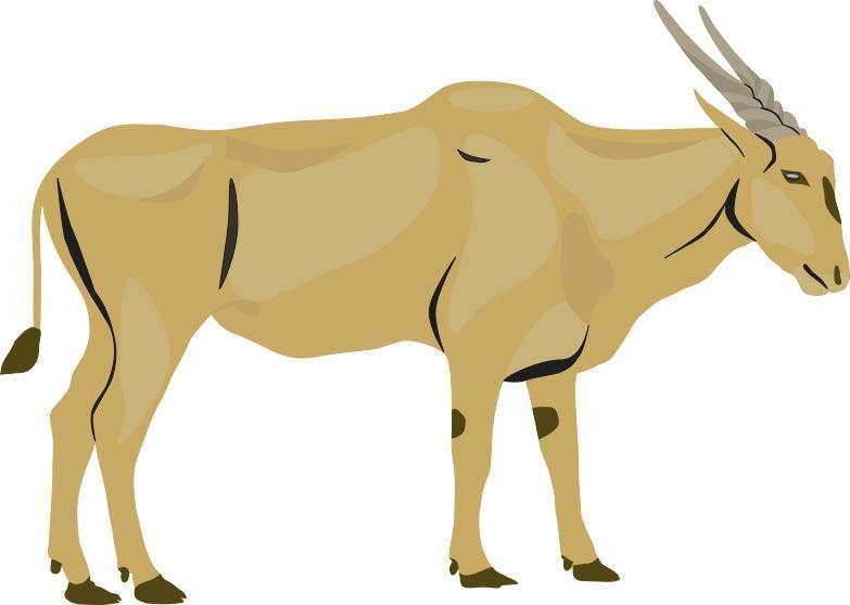 Illustrazione di un eland