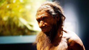 Gli archeologi scoprono prove senza precedenti delle abilità dei Neanderthal nella lavorazione del legno