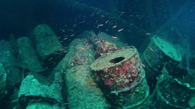 C’è qualcosa di strano che vive nel vecchio carburante che fuoriesce dai relitti della Seconda guerra mondiale