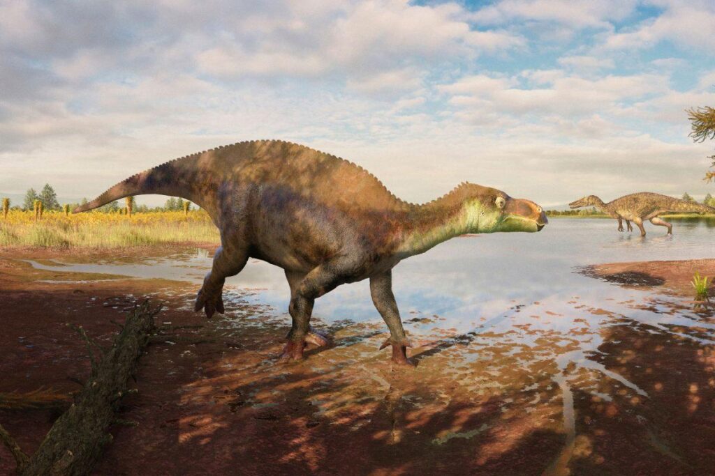 Un dinosauro del Surrey diventa una nuova specie e un nuovo genere