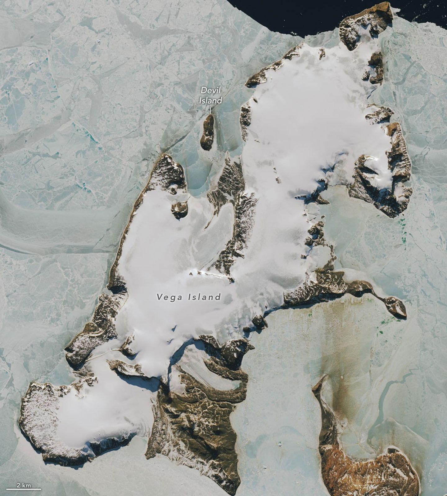 Una parte di un’isola antartica coperta di ghiaccio ricorda il profilo di un teschio ghignante. Alcune zone del volto sono grigie, dove la neve stagionale si è sciolta lasciando scoperto il ghiaccio nudo.