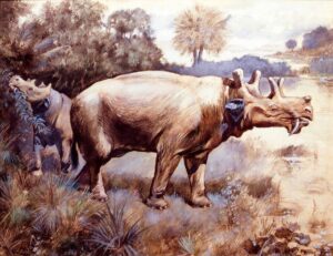 Illustrazione di uintateri