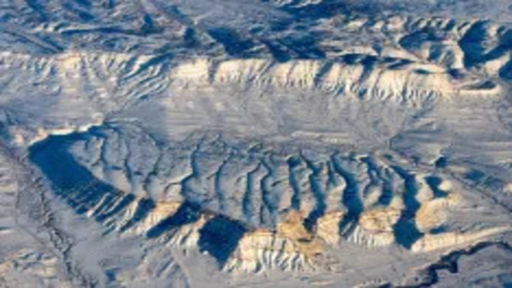Gli scienziati scoprono un misterioso animale marino vissuto 160 milioni di anni fa