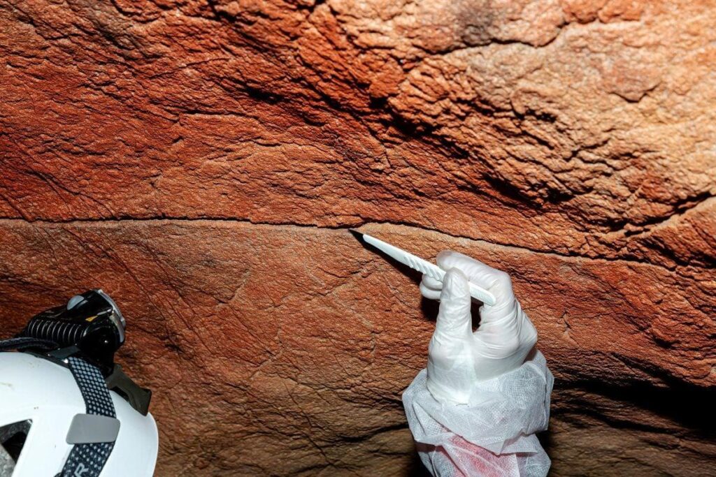 Le pareti delle grotte conservano DNA umano per migliaia di anni