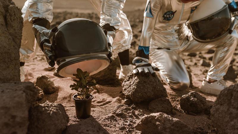 Astronauti che cercano di proteggere una pianta in un terreno simile a quello di Marte.