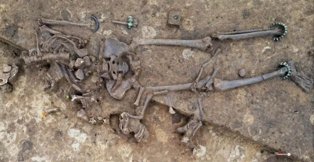 In Baviera una donna celtica fu sepolta con gioielli di bronzo e i resti di un giovane agnello