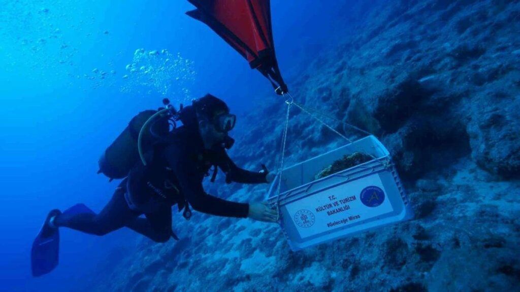 Al largo della Turchia emerge il relitto più antico mai individuato