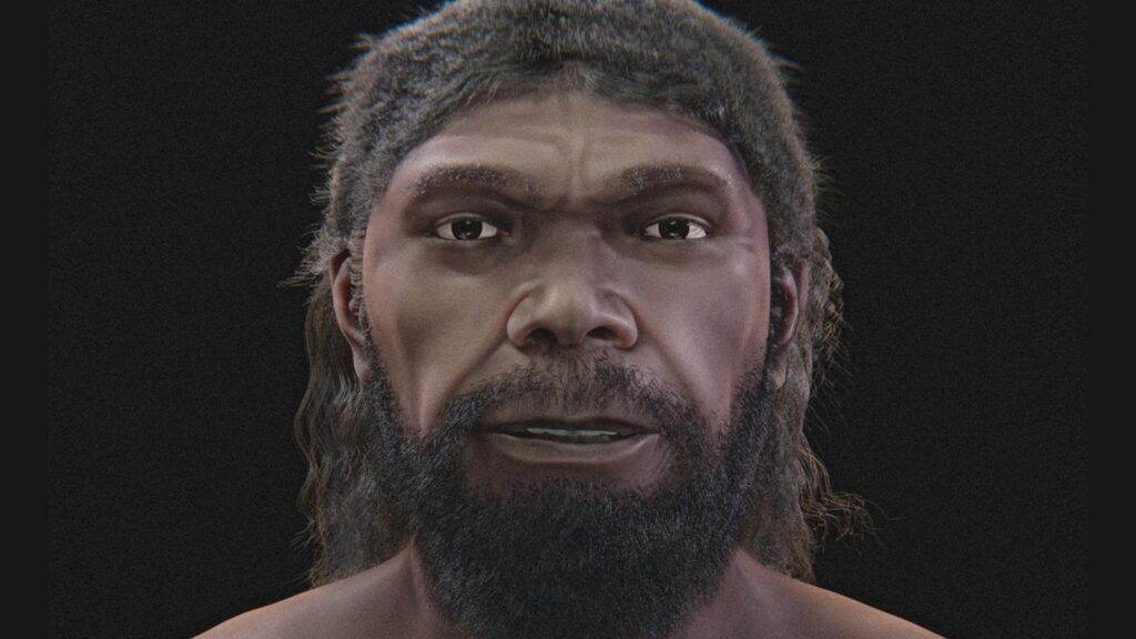Un volto umano di 315.000 anni fa rivela quanto è antica la nostra specie