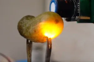 Perché i cetrioli si illuminano quando vengono sottoposti a scossa elettrica?