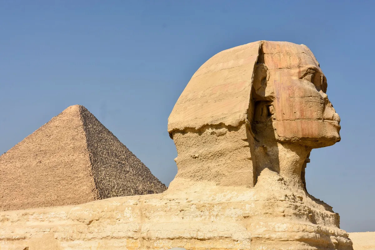 Scoperta una nuova specie di coccodrillo preistorico nelle rocce usate per costruire la Sfinge e le piramidi