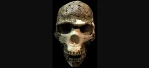 C’erano ibridi umani – Neanderthal 100.000 anni fa in Medio Oriente? Cosa rivelano le prove