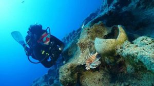 Scoperto il relitto più antico di sempre al largo della Turchia