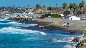 Creature insolite avvistate al largo della California