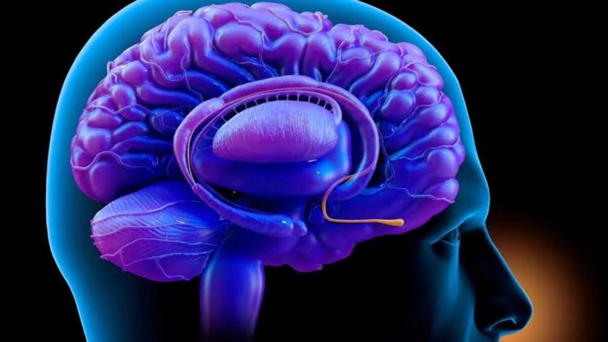 Un nuovo studio rivela come una particolare tecnica di respirazione possa provocare stati di coscienza alterati