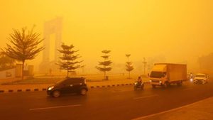 Indonesia, test con ghiaccio secco per ridurre i fumi degli incendi