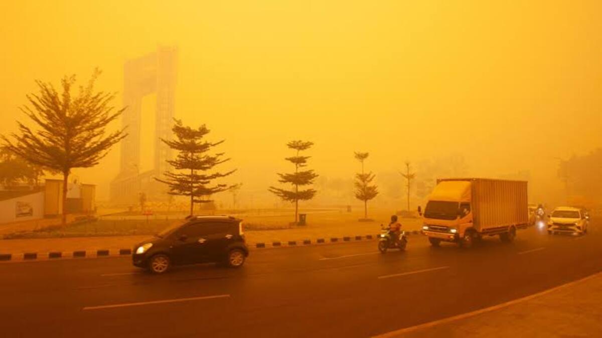 Indonesia, test con ghiaccio secco per ridurre i fumi degli incendi