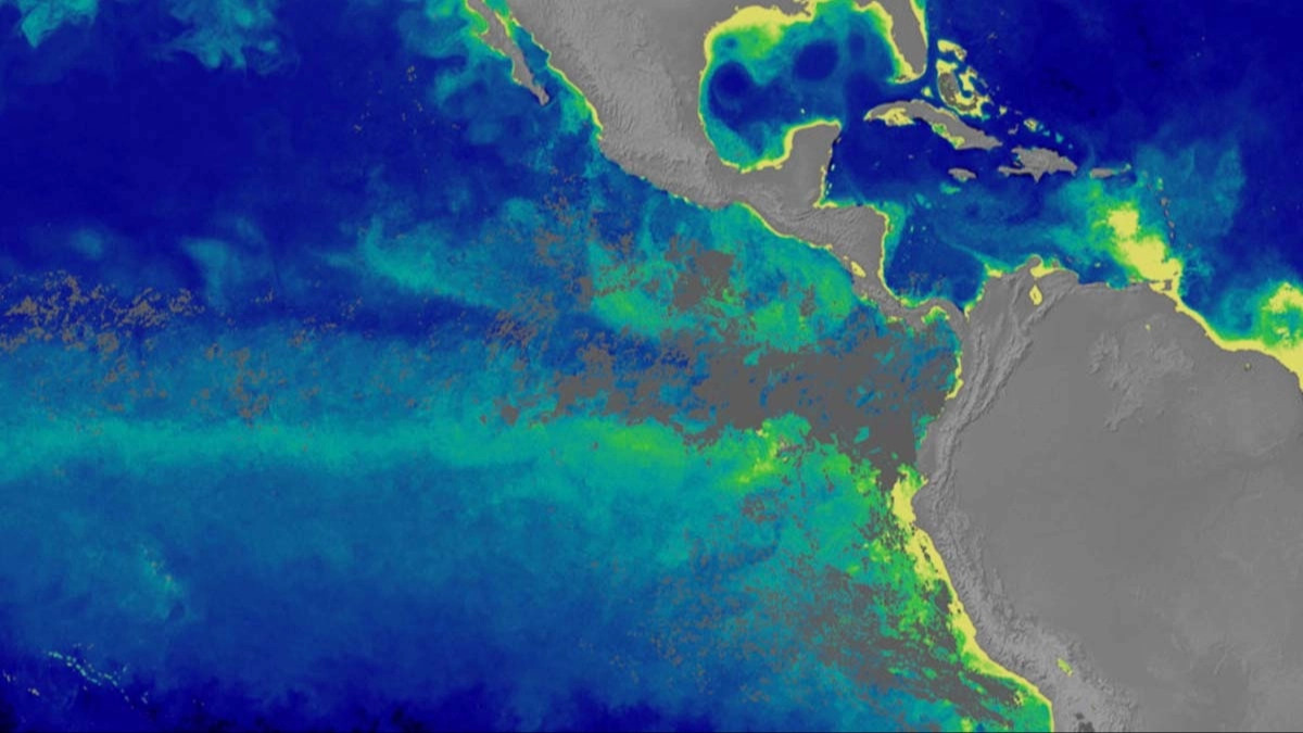 El Niño sta cambiando il colore degli Oceani mettendo a rischio gli ecosistemi marini