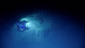 Scienziati hanno inviato un robot a 4.500 metri di profondità nell’Oceano. Quello che hanno trovato è preoccupante
